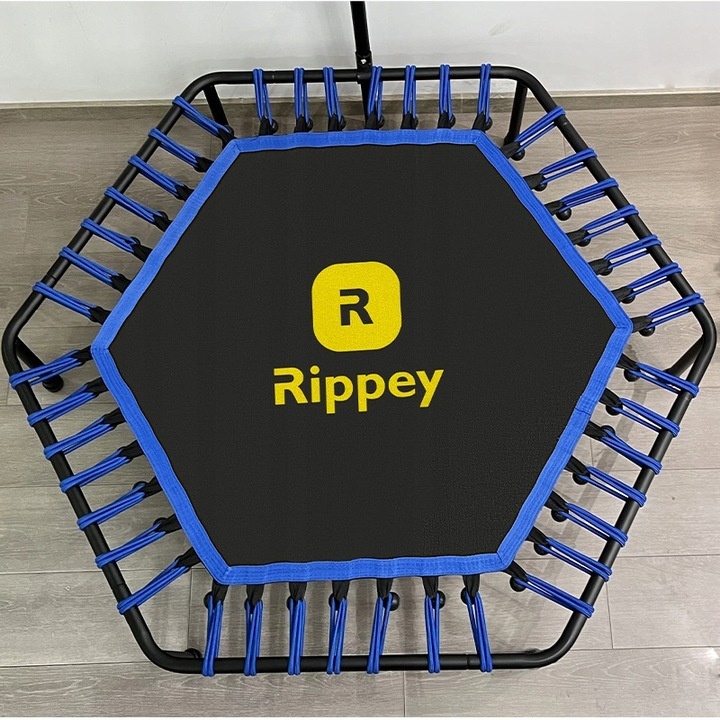 Фітнес-батут з ручкою Rippey 130 см - чорно-синій 1110 фото